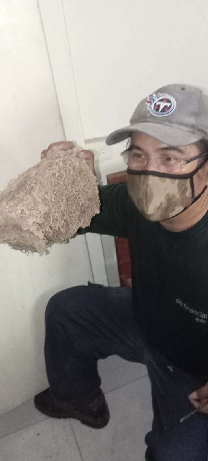 Technician holding a large termite nest removed during extermination